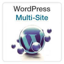WordPress Multi-site Class
